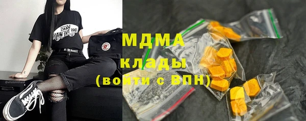 прущие грибы Дмитров