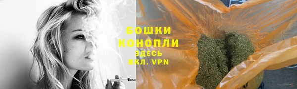 прущие грибы Дмитров