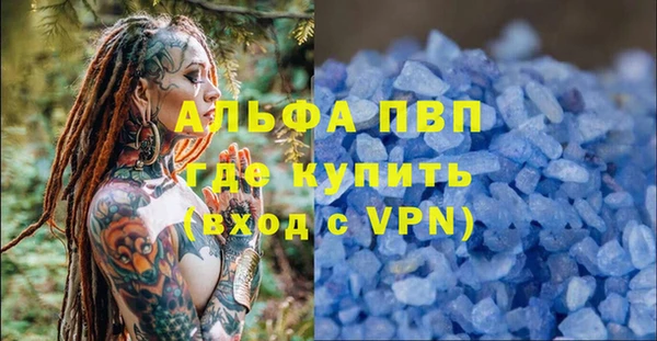 прущие грибы Дмитровск