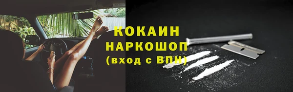 прущие грибы Дмитровск