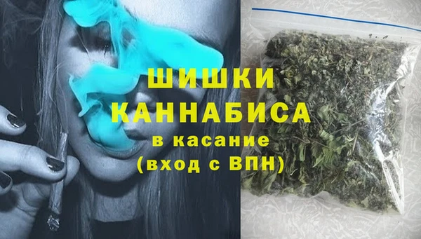 прущие грибы Дмитровск