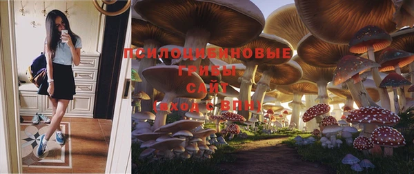 индика Гусиноозёрск