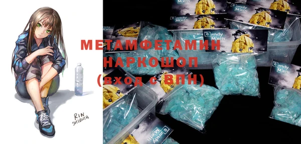 прущие грибы Дмитров