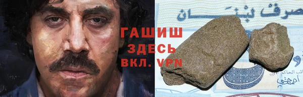 прущие грибы Дмитров